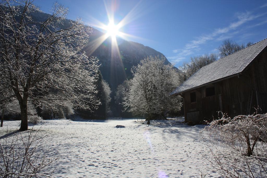 Lepin-le-Lac La Clairiere Du Moulin Bed & Breakfast エクステリア 写真