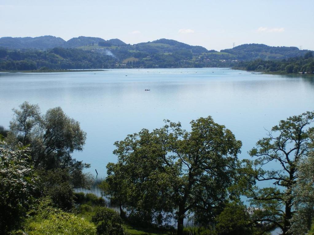 Lepin-le-Lac La Clairiere Du Moulin Bed & Breakfast エクステリア 写真